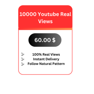 10000 Youtube Real Video Views