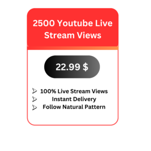 2500 Youtube Live Stream Views