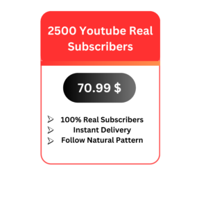 2500 Youtube Real Subscribers