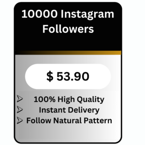 10000 High Quality Instagram Followers