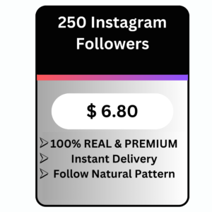 Premium Quality Instagram Followers