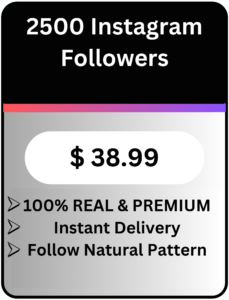 Buy Real Premium Quality Instagram Followers