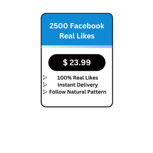 2500 Facebook Real Likes