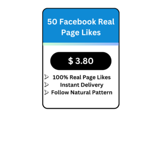 100 Facebook Real Page Likes