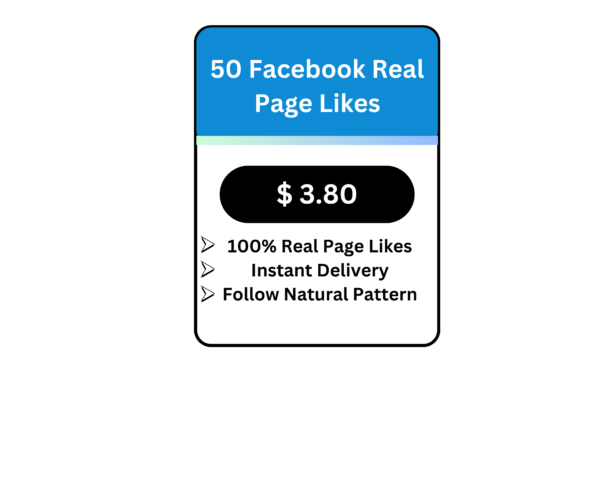 100 Facebook Real Page Likes