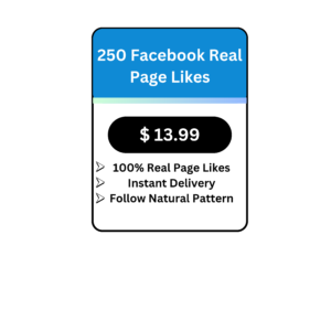 250 Facebook Real Page Likes