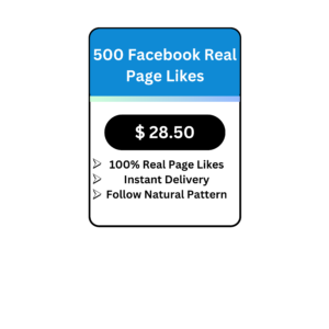 500 Facebook Real Page Likes