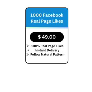 1000 Facebook Real Page Likes