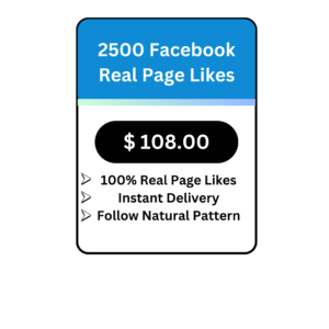 2500 Facebook Real Page Likes