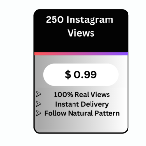 250 Real Instagram Views