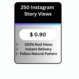 250 Instagram Story Views