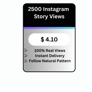 2500 Instagram Story Views