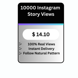 Instagram Story Views