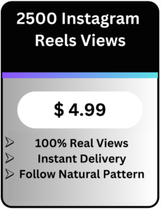 Buy Instagram reel Views