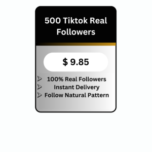 500 TikTok Real Followers