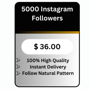 High Quality Instagram Followers