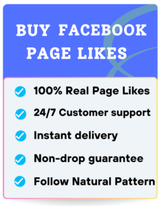 BUY FACEBOOK PAGE LIKES